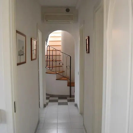 Blue Mediterranean Flat *